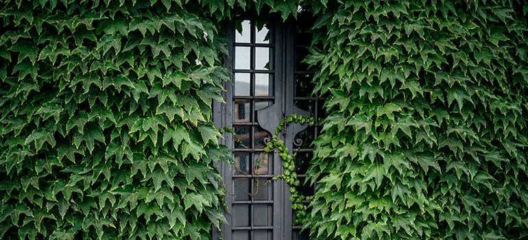 Garden Gate Repair in Fredricton, ON