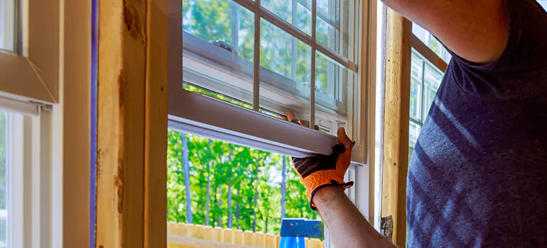 Decorative Window Film Services in Fredricton, ON