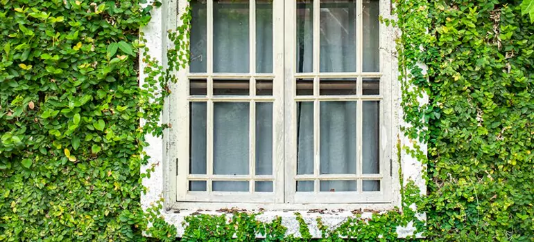 Garden Window Repair Near Me in Fredricton, ON