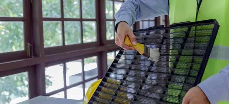 Traditional Window Grille Installation Options in Fredricton, ON