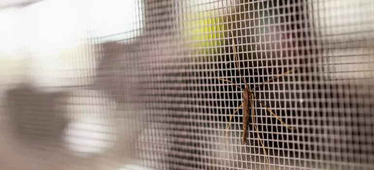 Repair Mosquito Mesh For Windows in Fredricton, ON