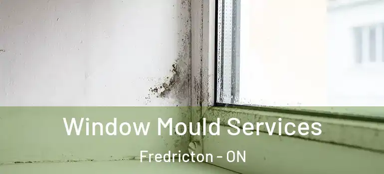  Window Mould Services Fredricton - ON